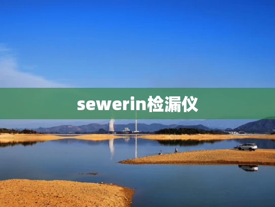 sewerin检漏仪