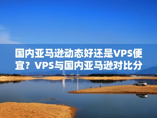 国内亚马逊动态好还是VPS便宜？VPS与国内亚马逊对比分析