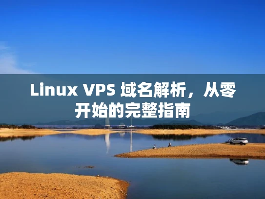 Linux VPS 域名解析，从零开始的完整指南
