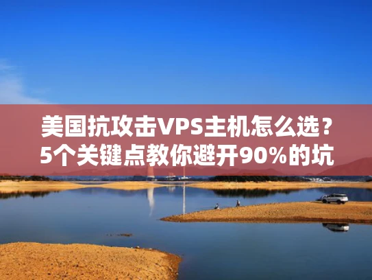 美国抗攻击VPS主机怎么选？5个关键点教你避开90%的坑！