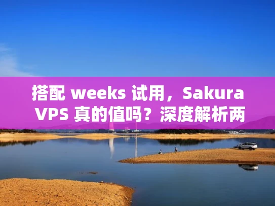 搭配 weeks 试用，Sakura VPS 真的值吗？深度解析两周试用体验