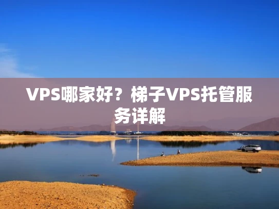 VPS哪家好？梯子VPS托管服务详解
