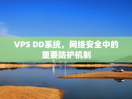VPS DD系统，网络安全中的重要防护机制