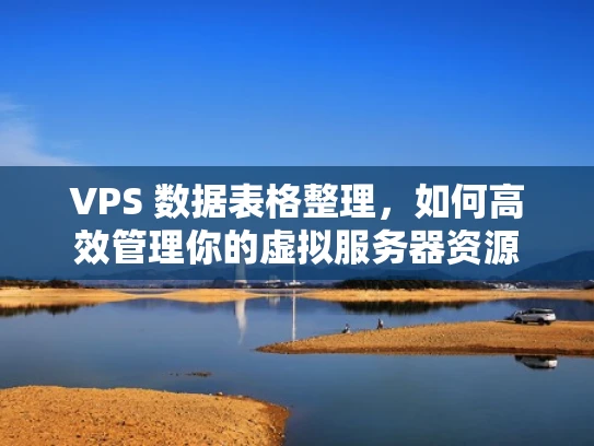 VPS 数据表格整理，如何高效管理你的虚拟服务器资源