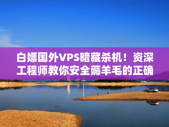 白嫖国外VPS暗藏杀机！资深工程师教你安全薅羊毛的正确姿势