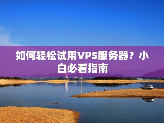 如何轻松试用VPS服务器？小白必看指南