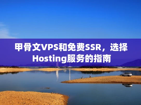 甲骨文VPS和免费SSR，选择 Hosting服务的指南