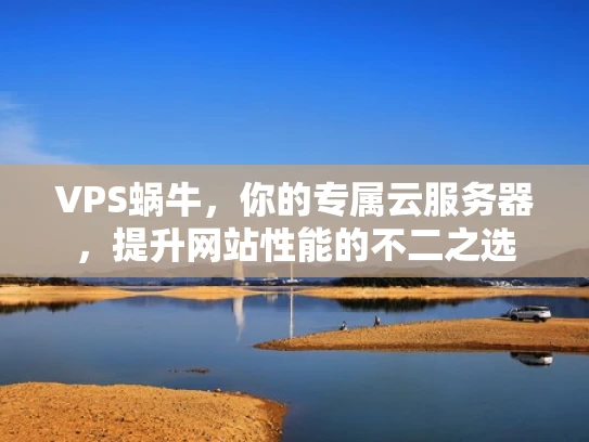 VPS蜗牛，你的专属云服务器，提升网站性能的不二之选