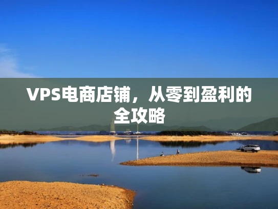 VPS电商店铺，从零到盈利的全攻略