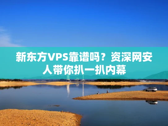 新东方VPS靠谱吗？资深网安人带你扒一扒内幕
