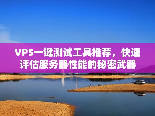 VPS一键测试工具推荐，快速评估服务器性能的秘密武器