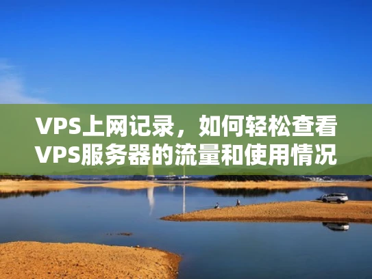 VPS上网记录，如何轻松查看VPS服务器的流量和使用情况