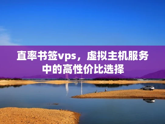 直率书签vps，虚拟主机服务中的高性价比选择