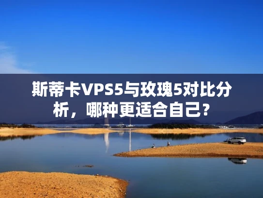 斯蒂卡VPS5与玫瑰5对比分析，哪种更适合自己？