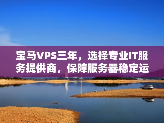 宝马VPS三年，选择专业IT服务提供商，保障服务器稳定运行