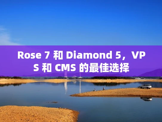 Rose 7 和 Diamond 5，VPS 和 CMS 的最佳选择