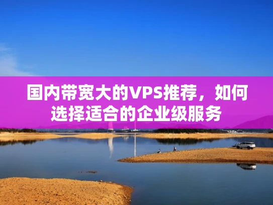 国内带宽大的VPS推荐，如何选择适合的企业级服务