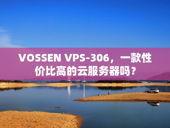 VOSSEN VPS-306，一款性价比高的云服务器吗？