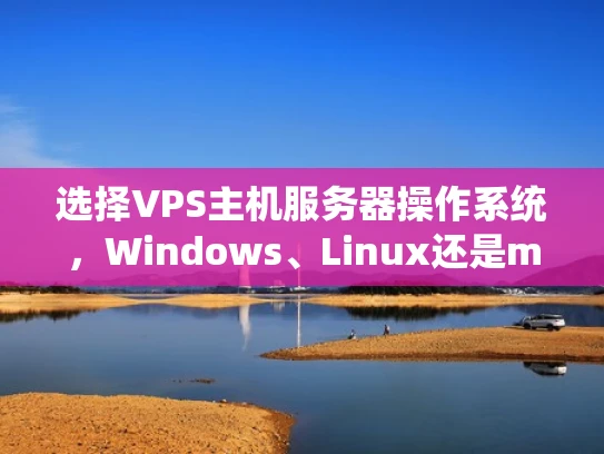选择VPS主机服务器操作系统，Windows、Linux还是macOS？