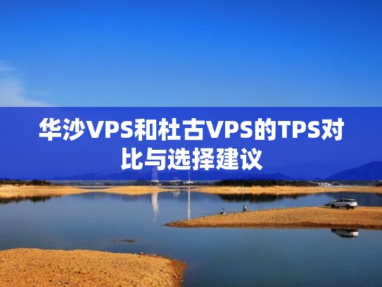 华沙VPS和杜古VPS的TPS对比与选择建议