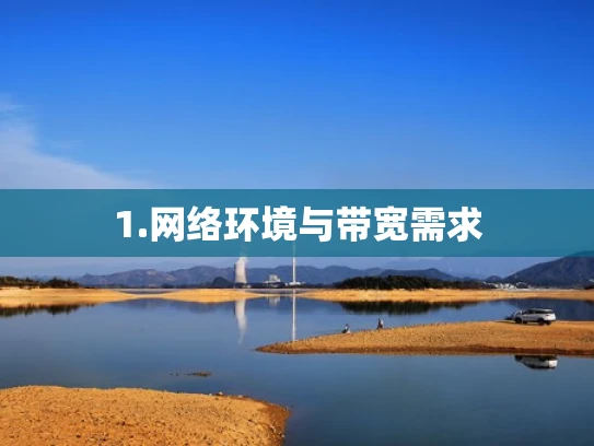 1.网络环境与带宽需求