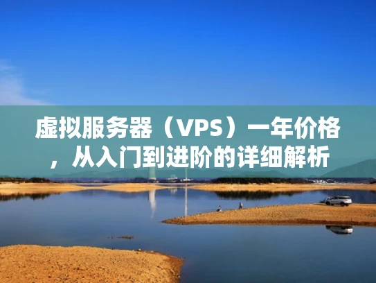 虚拟服务器（VPS）一年价格，从入门到进阶的详细解析