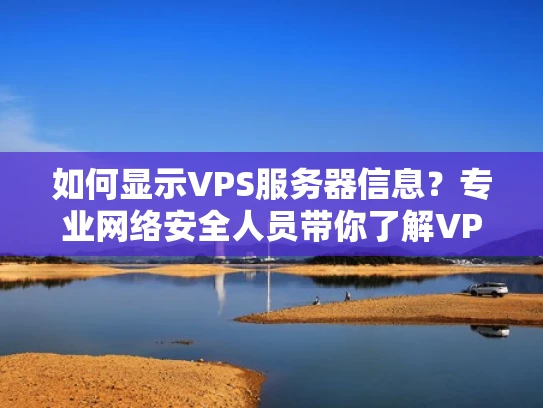 如何显示VPS服务器信息？专业网络安全人员带你了解VPS的基本知识和操作技巧