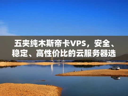 五夹纯木斯帝卡VPS，安全、稳定、高性价比的云服务器选择