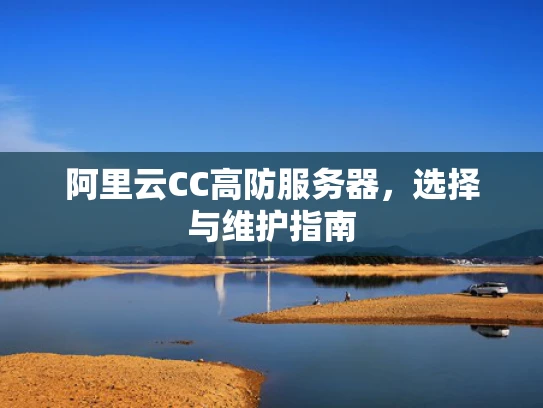 阿里云CC高防服务器，选择与维护指南