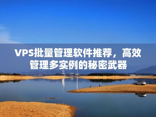 VPS批量管理软件推荐，高效管理多实例的秘密武器