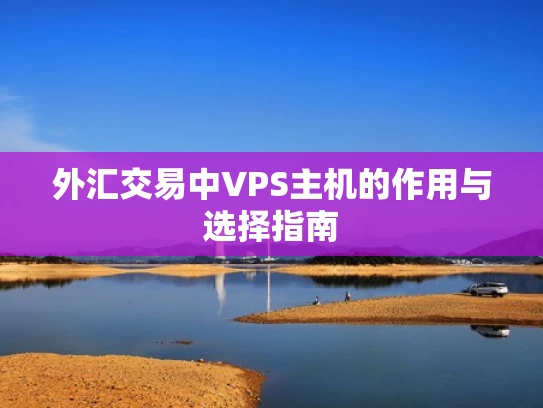 外汇交易中VPS主机的作用与选择指南