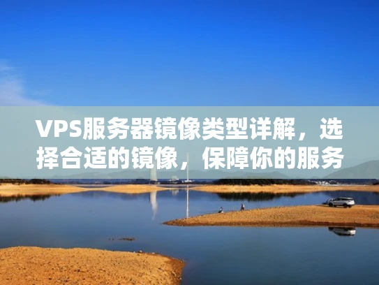 VPS服务器镜像类型详解，选择合适的镜像，保障你的服务器性能