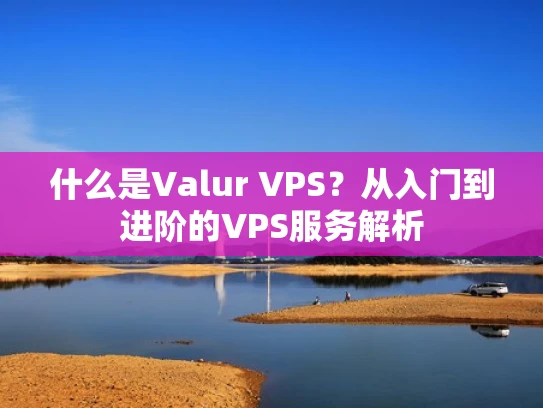 什么是Valur VPS？从入门到进阶的VPS服务解析