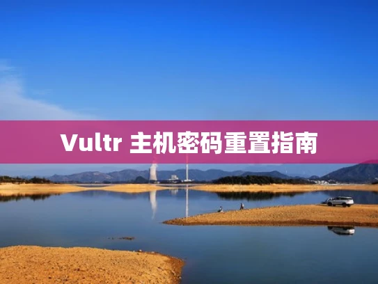 Vultr 主机密码重置指南