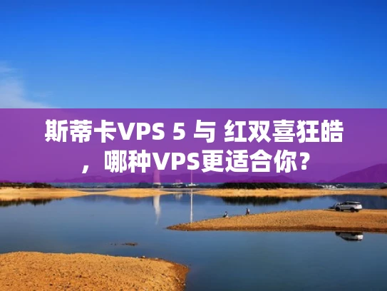 斯蒂卡VPS 5 与 红双喜狂皓，哪种VPS更适合你？