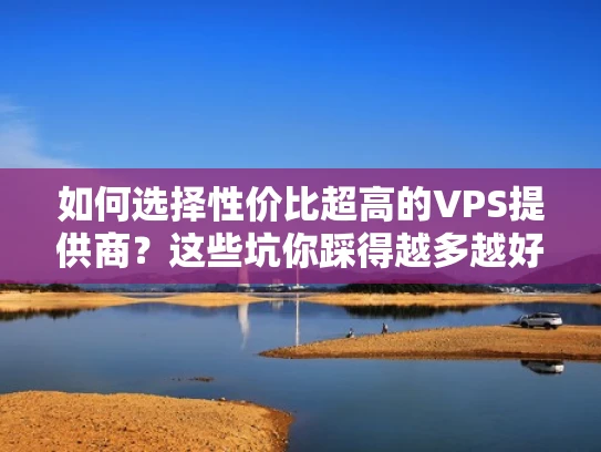 如何选择性价比超高的VPS提供商？这些坑你踩得越多越好！