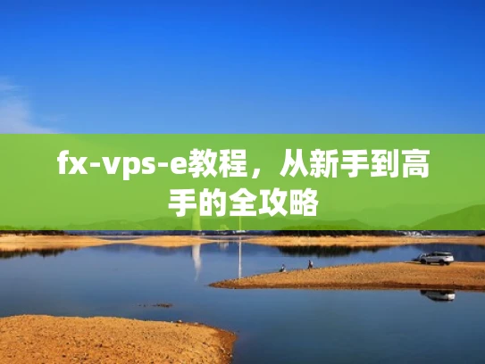 fx-vps-e教程，从新手到高手的全攻略