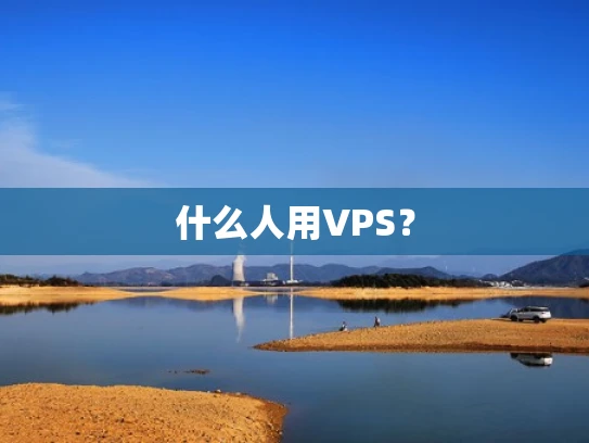 什么人用VPS？