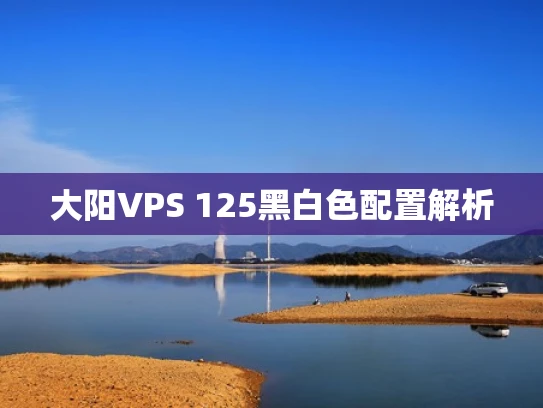 大阳VPS 125黑白色配置解析