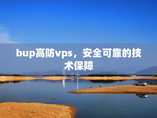 bup高防vps，安全可靠的技术保障