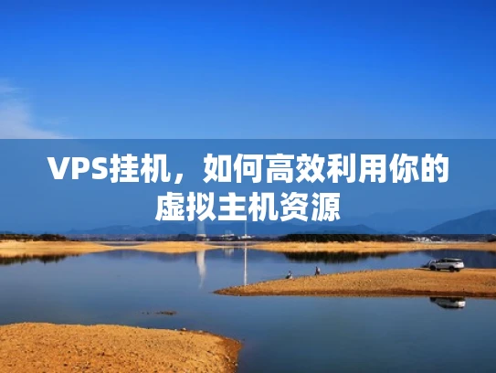 VPS挂机，如何高效利用你的虚拟主机资源