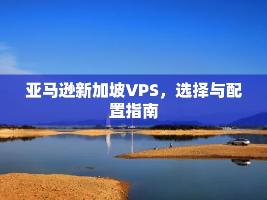亚马逊新加坡VPS，选择与配置指南