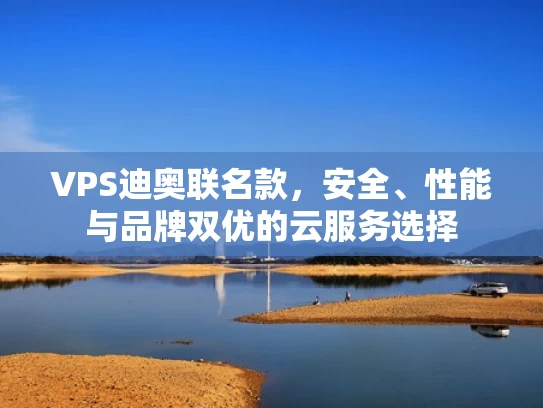 VPS迪奥联名款，安全、性能与品牌双优的云服务选择