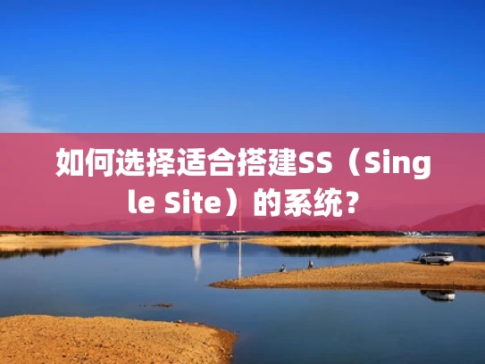 如何选择适合搭建SS（Single Site）的系统？