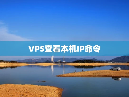 VPS查看本机IP命令
