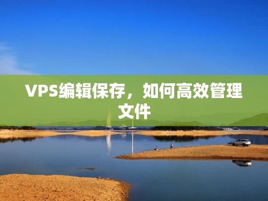 VPS编辑保存，如何高效管理文件