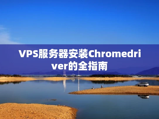 VPS服务器安装Chromedriver的全指南