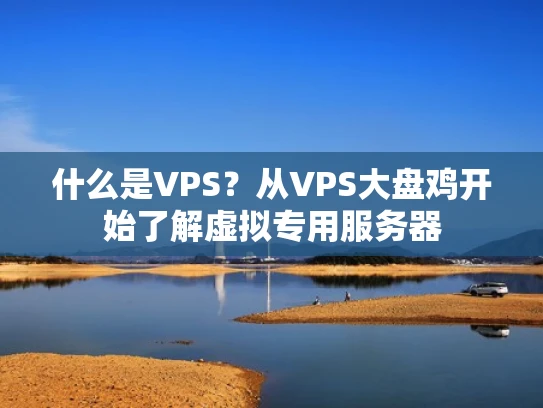 什么是VPS？从VPS大盘鸡开始了解虚拟专用服务器