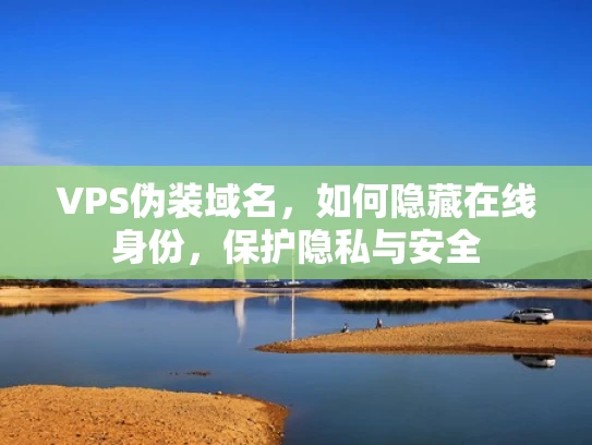 VPS伪装域名，如何隐藏在线身份，保护隐私与安全