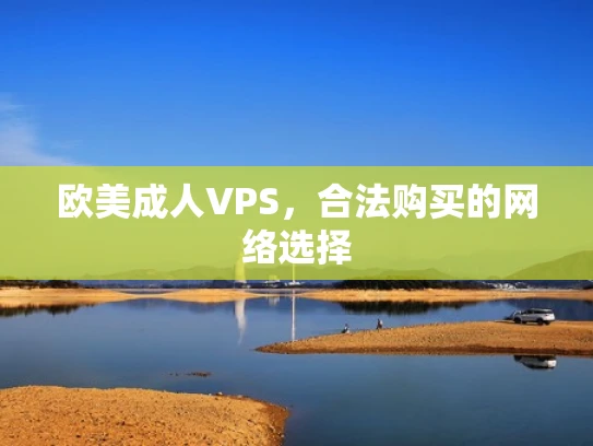 欧美成人VPS，合法购买的网络选择